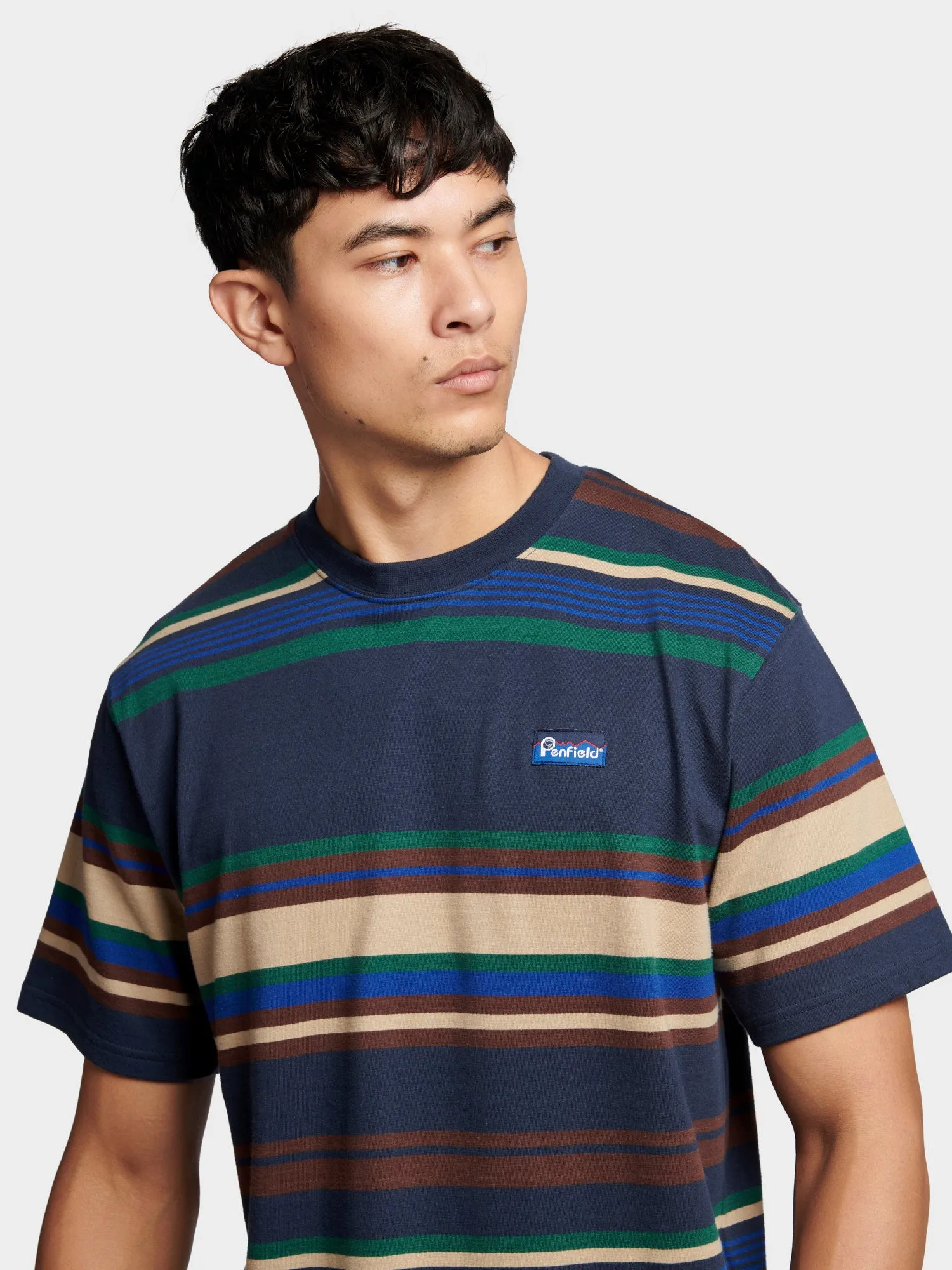 Penfield Mens Stripe T-Shirt Navy Blue
